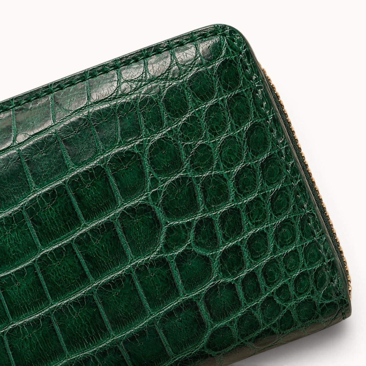 lose-up of the Belvedere Emerald Green Siamese crocodile zip-around wallet showing natural scale texture, stitching, and gold-tone zipper detail.