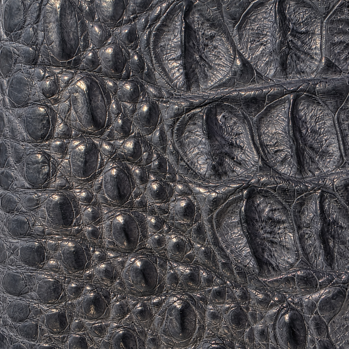 The Compact Crocodile Wallet