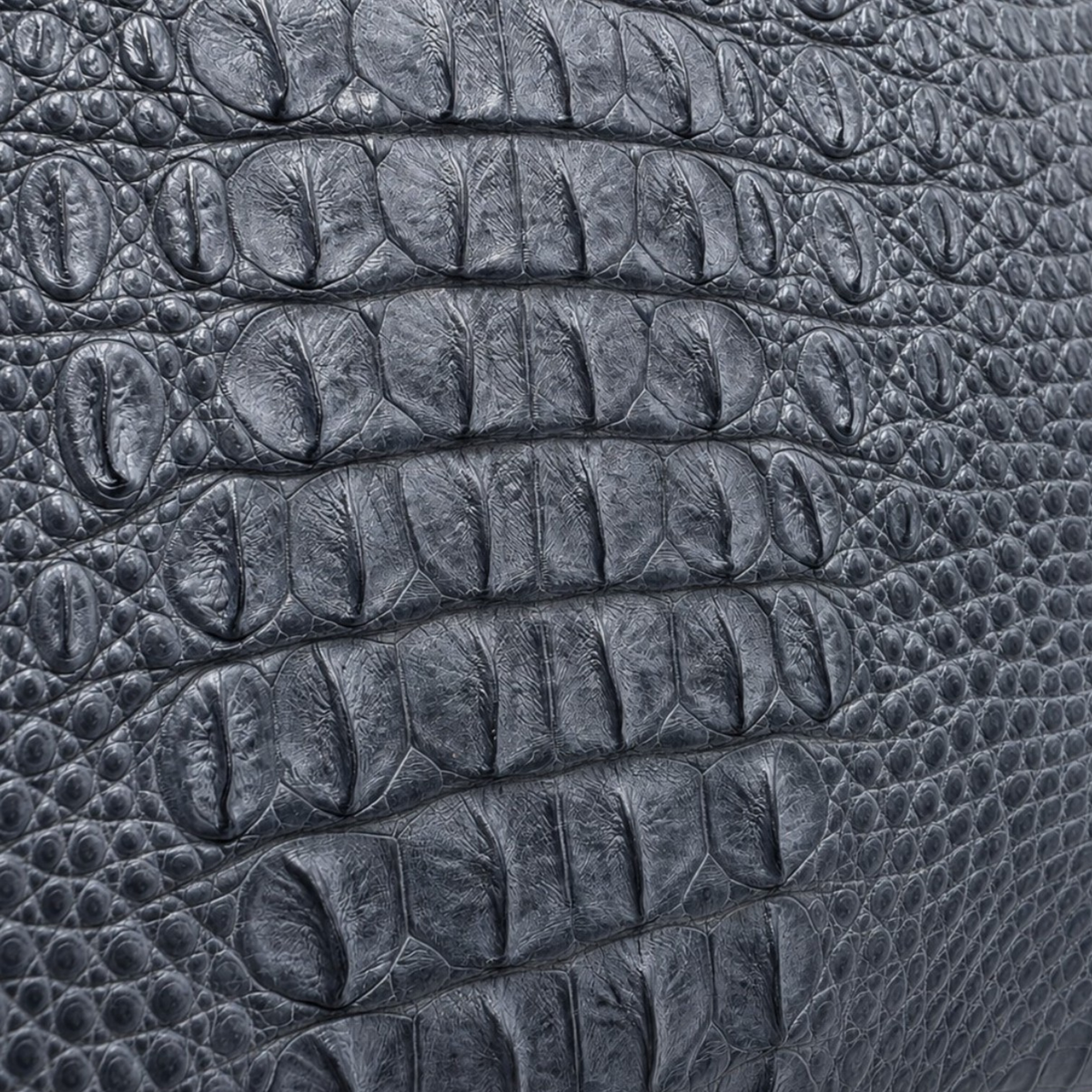 Macro detail of gunmetal gray crocodile skin texture with natural scale variation