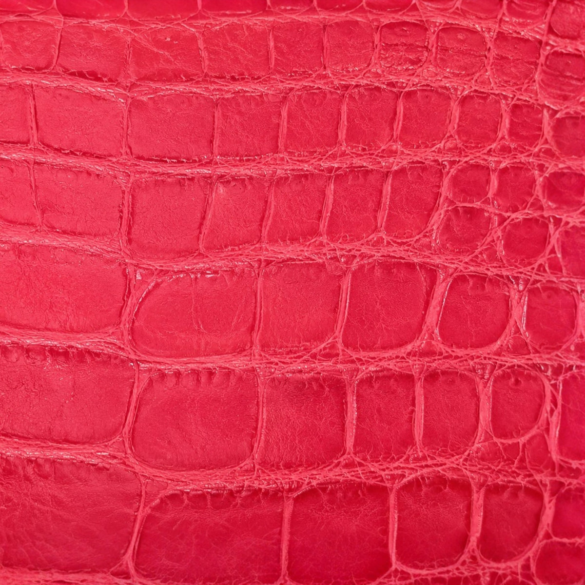 The Crocodile AirPods Case