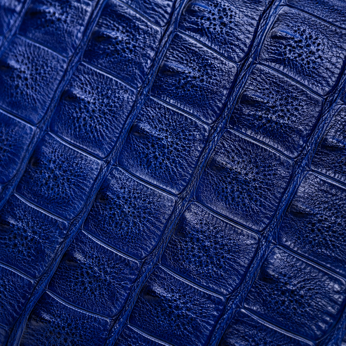 The Windsor Crocodile Zip Wallet