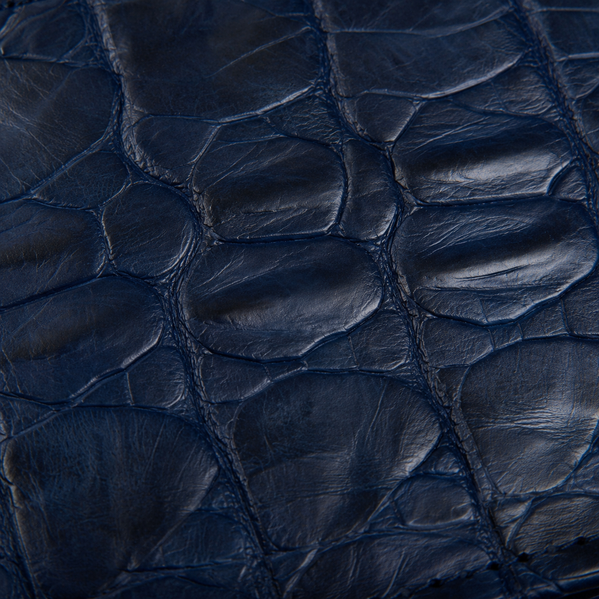 The Monarch Crocodile Bifold Wallet
