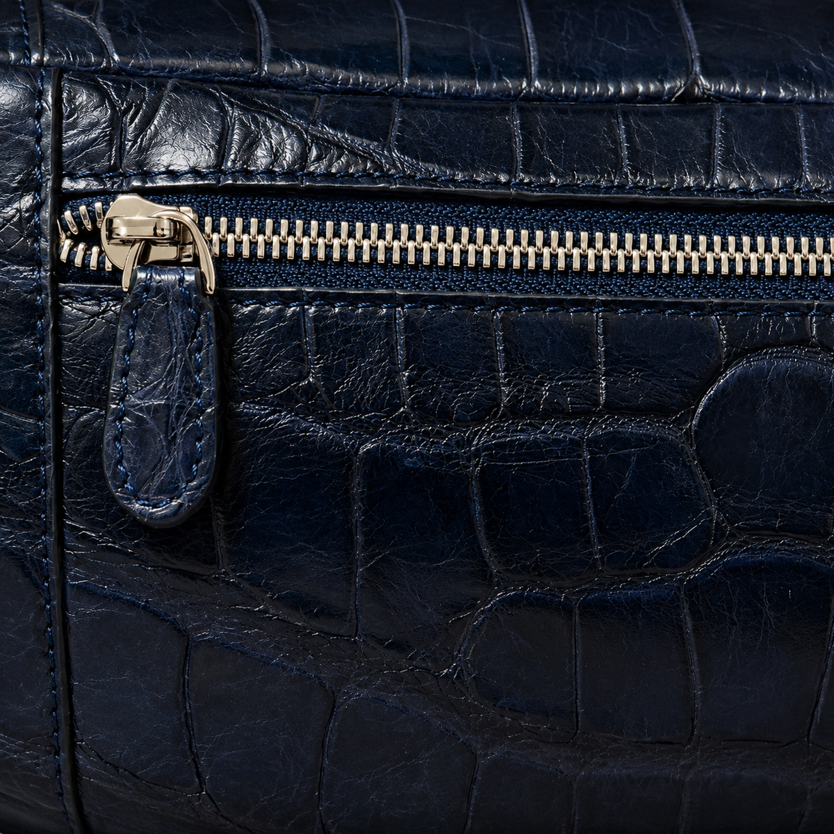 The Obsidian Crocodile Belt Bag