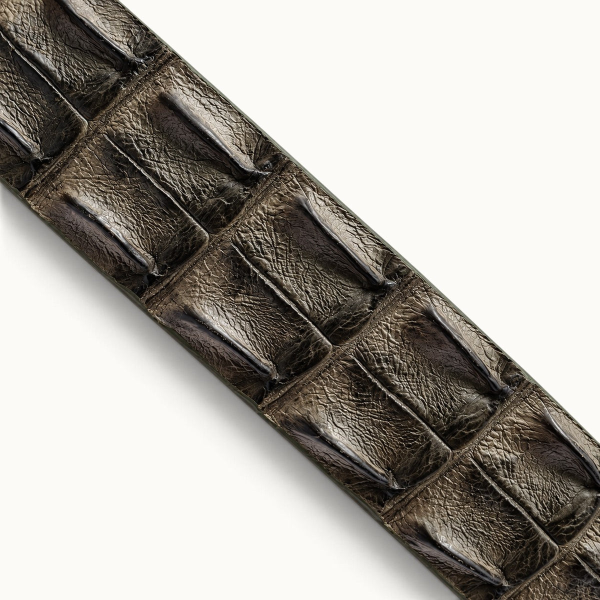 Close-up of The Waverly Crocodile Belt in Taupe Green showing natural Siamese crocodile backstrap scales, fine leather grain, and finished edges.