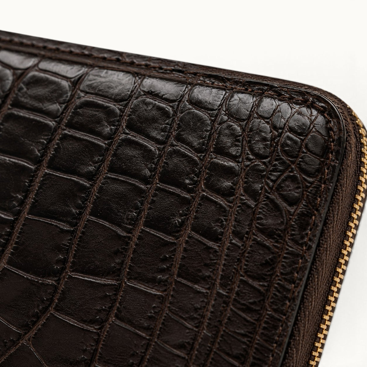Close-up of the Belvedere Nicotine Brown Siamese crocodile zip-around wallet showing natural scale texture, stitching, and gold-tone zipper detail.