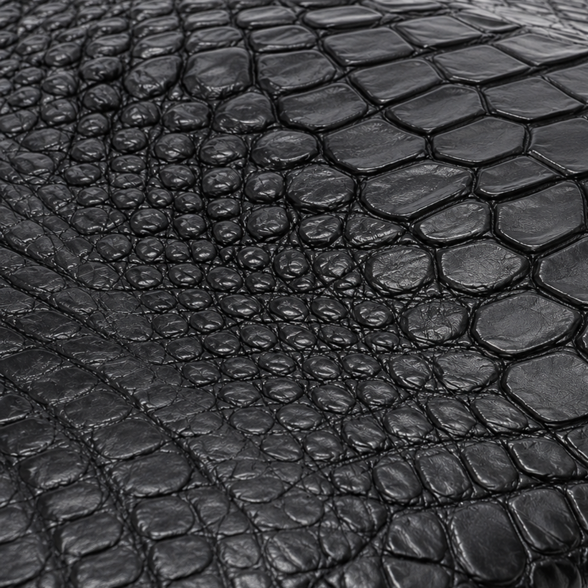 Close-up of black crocodile skin revealing natural scale definition and leather grain