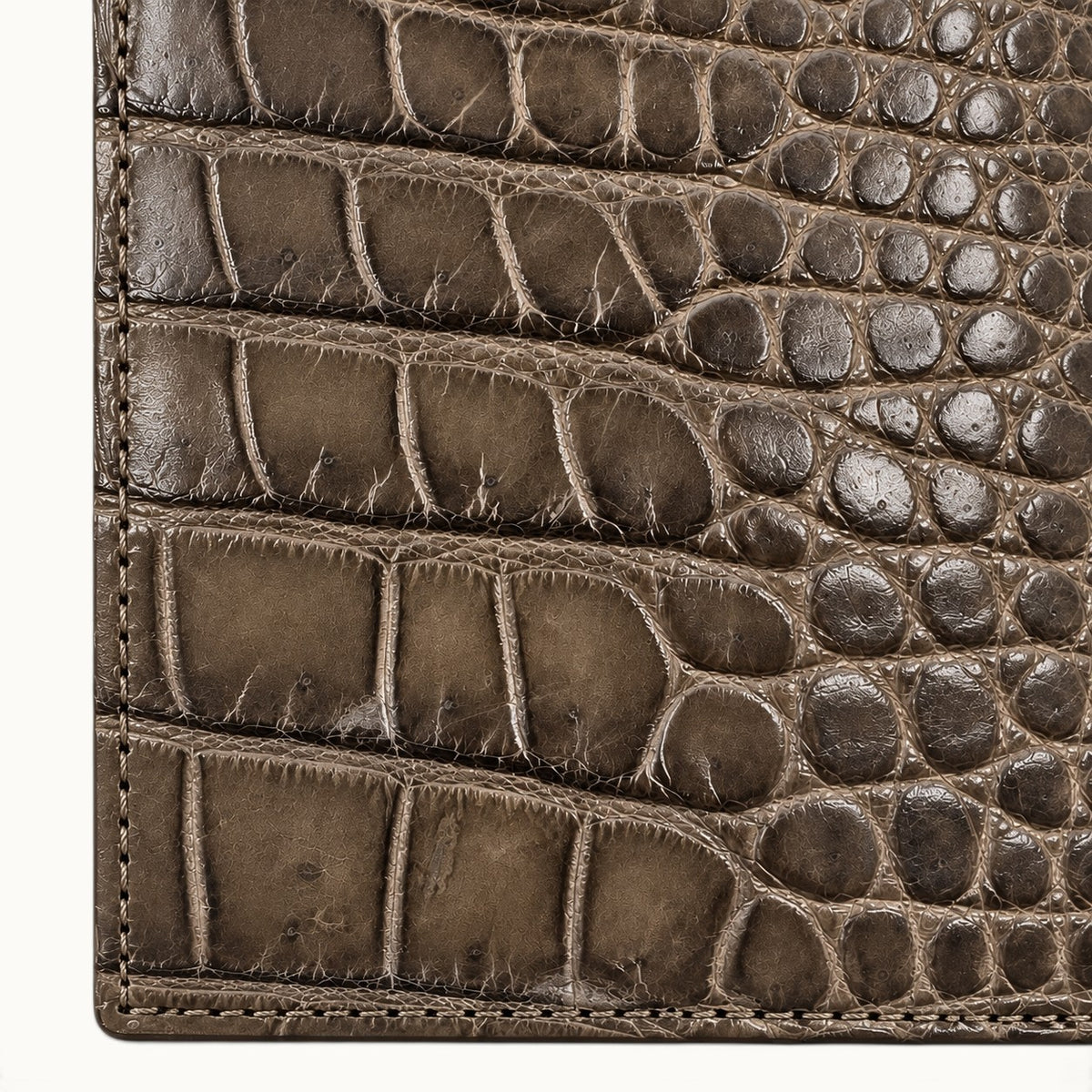 Close-up of Taupe Green genuine Siamese crocodile leather showing natural scales, fine texture and detailed stitching