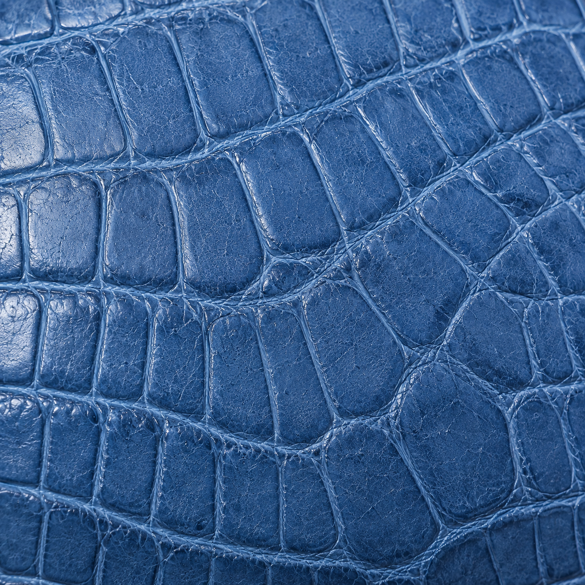 Macro close-up of genuine Siamese crocodile leather in French Blue showcasing the natural scale pattern of The Crocodile AirPods Case.