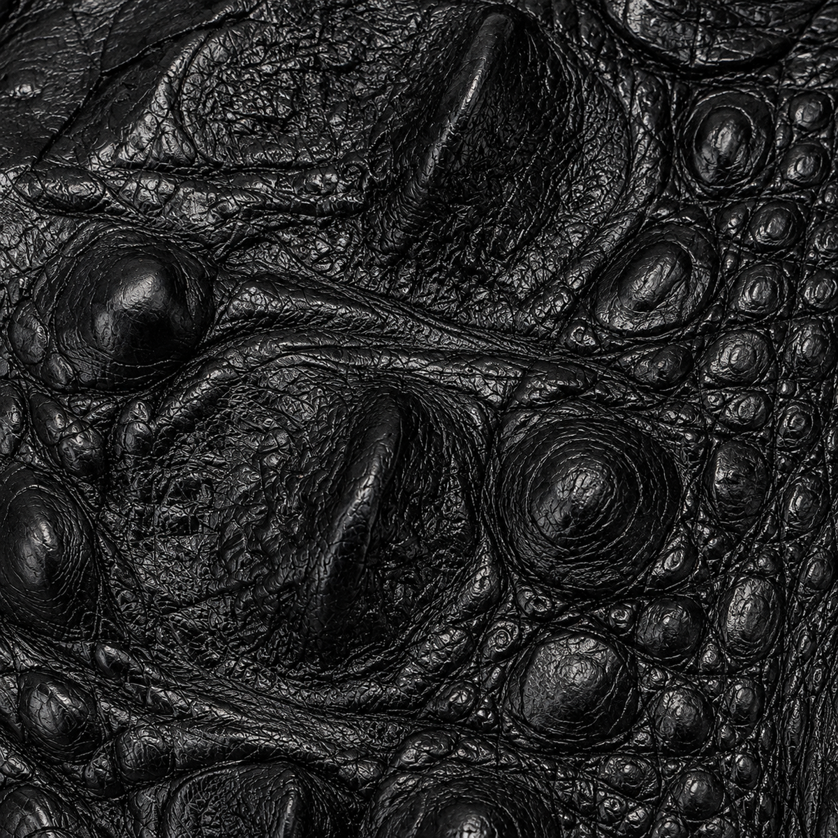 Extreme close-up of black genuine alligator leather showing raised hornback scales, natural grain, fine wrinkles, and distinctive exotic texture.