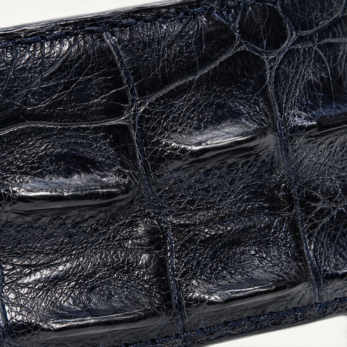 The Sovereign Crocodile Belt