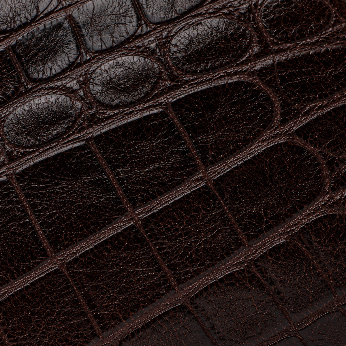 The Windsor Crocodile Zip Wallet