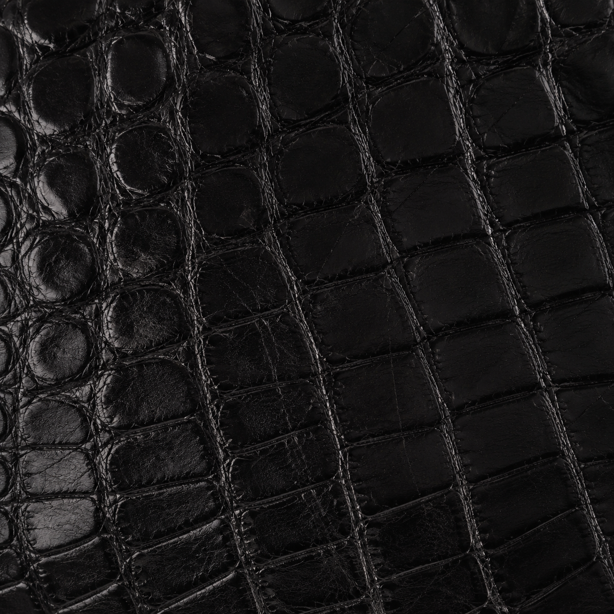 The Obsidian Alligator Sling