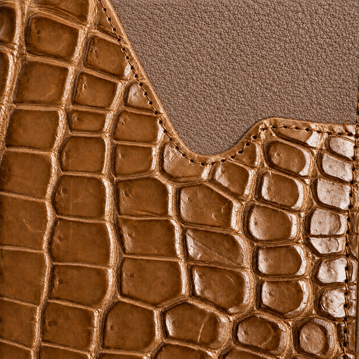 The Diplomat Passport Sleeve