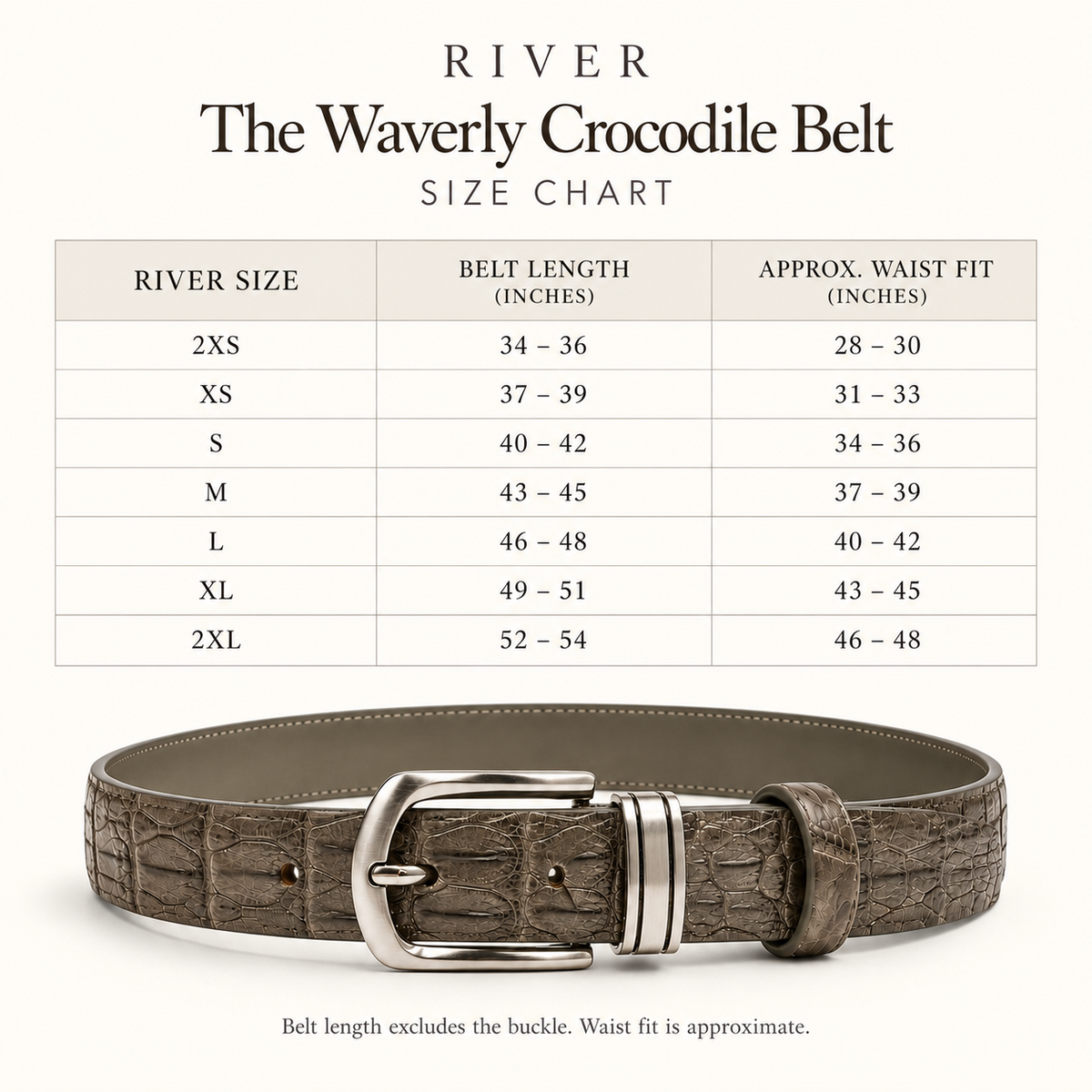 River size chart for The Waverly Crocodile Belt in Taupe Green, displaying belt lengths and approximate waist measurements alongside the distinctive crocodile backstrap leather and silver-tone buckle.
