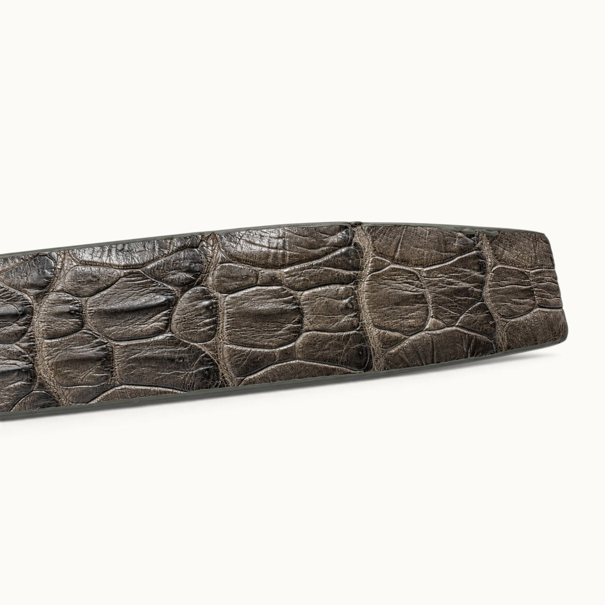 Detailed view of The Waverly Crocodile Belt's squared, softly rounded tip with natural crocodile scales and matching Taupe Green edge finishing.
